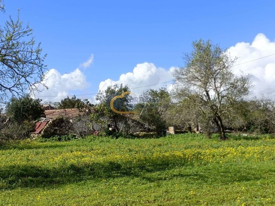 Landejendom i Sao Bras de Alportel, Faro - foto 3