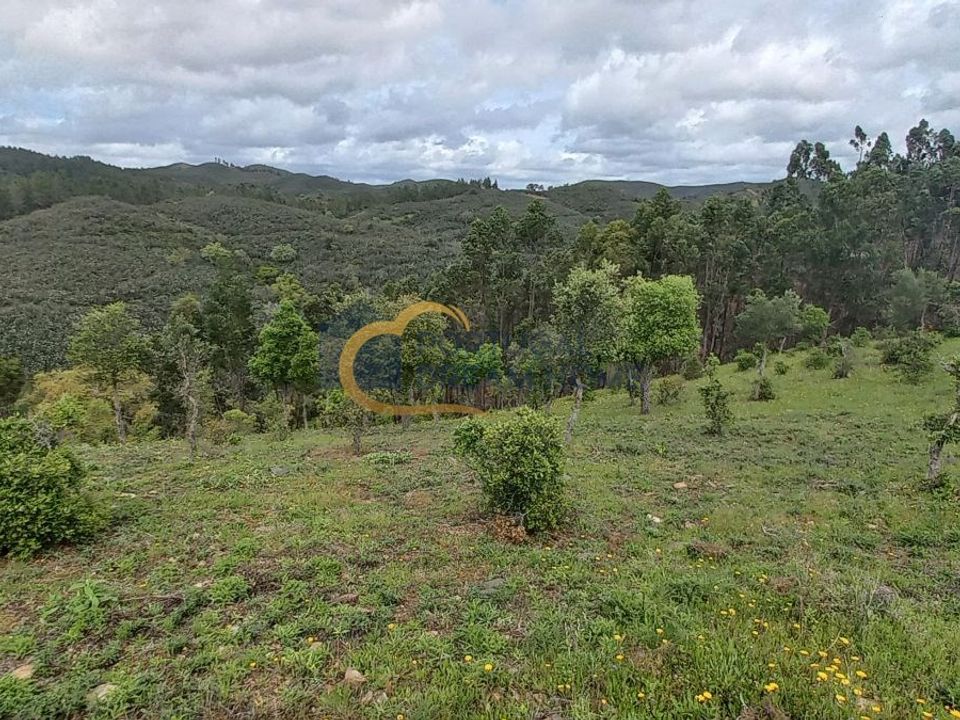 Helårsgrund i Alcantarilha, Faro - foto 1