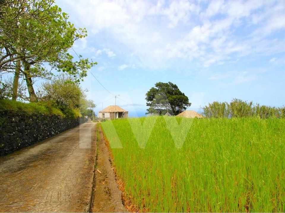 Byhus i Calheta, Madeira - foto 4