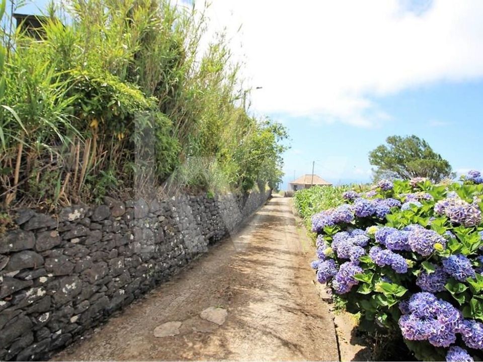 Byhus i Calheta, Madeira - foto 5