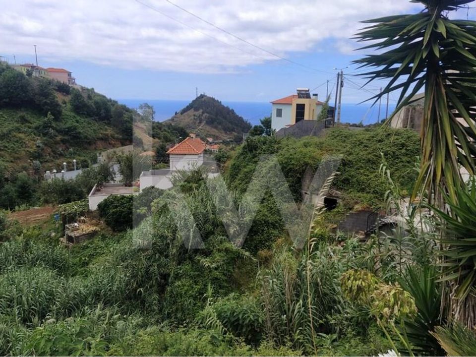 Helårsgrund i Ribeira Brava, Madeira - foto 4