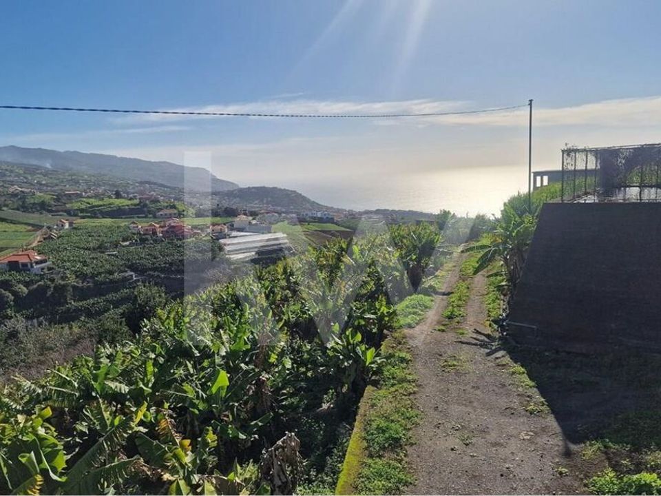 Helårsgrund i Ponta do Sol, Madeira - foto 1