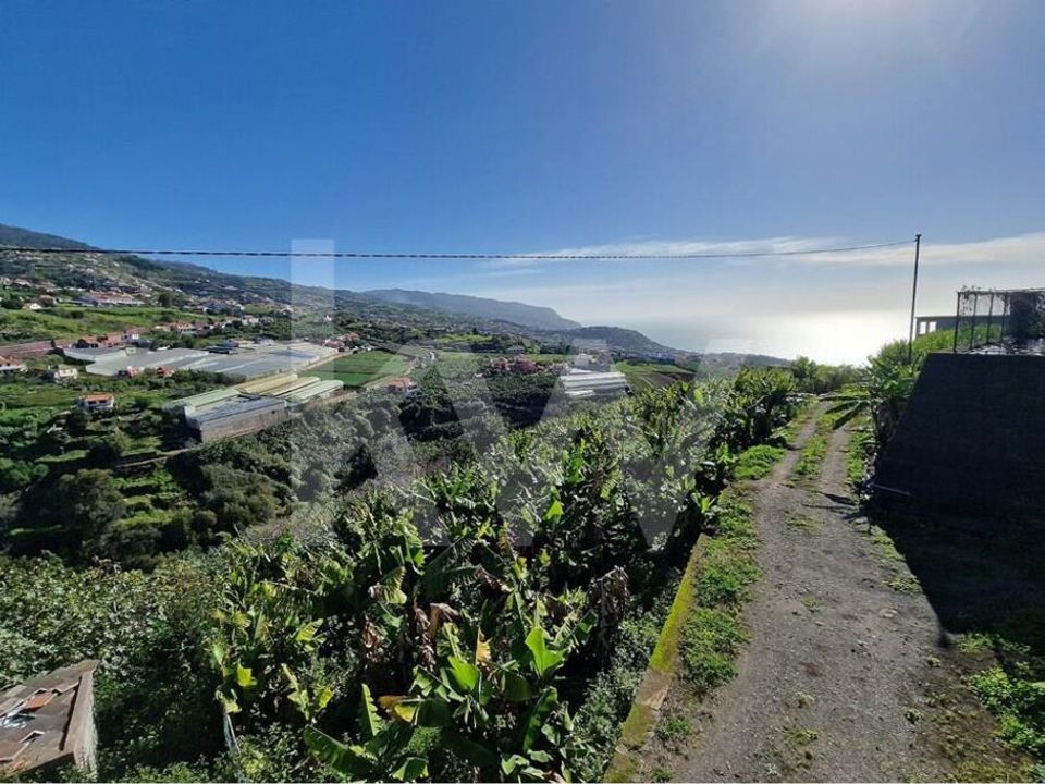 Helårsgrund i Ponta do Sol, Madeira - foto 2