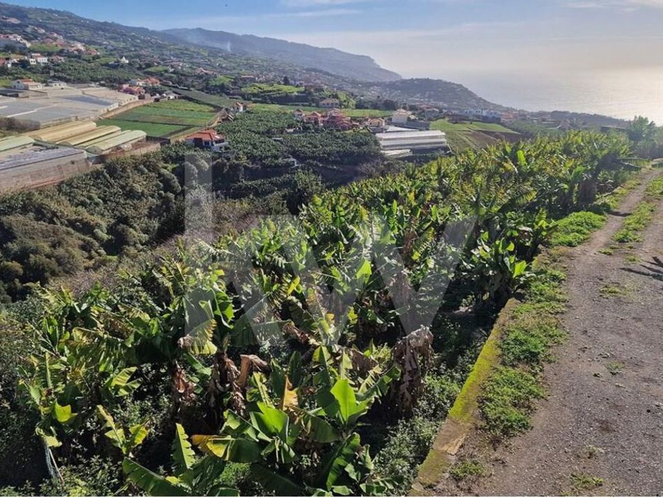 Helårsgrund i Ponta do Sol, Madeira - foto 3