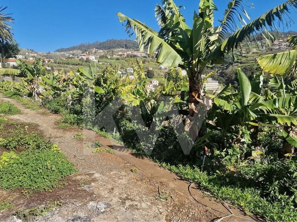 Helårsgrund i Ponta do Sol, Madeira - foto 4