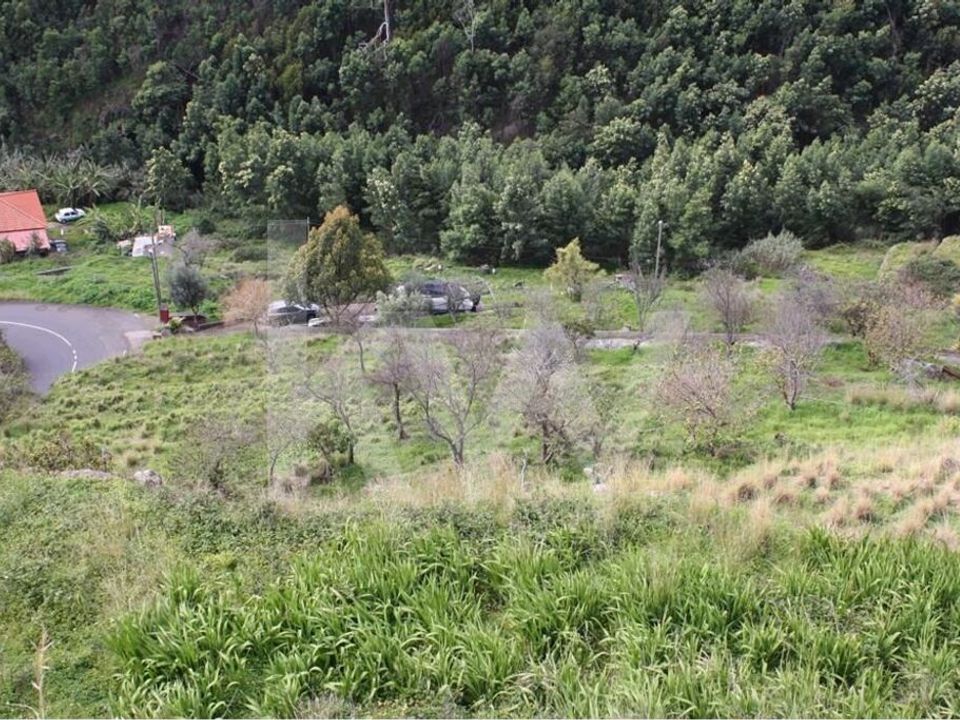 Helårsgrund i Santa Cruz, Madeira - foto 3