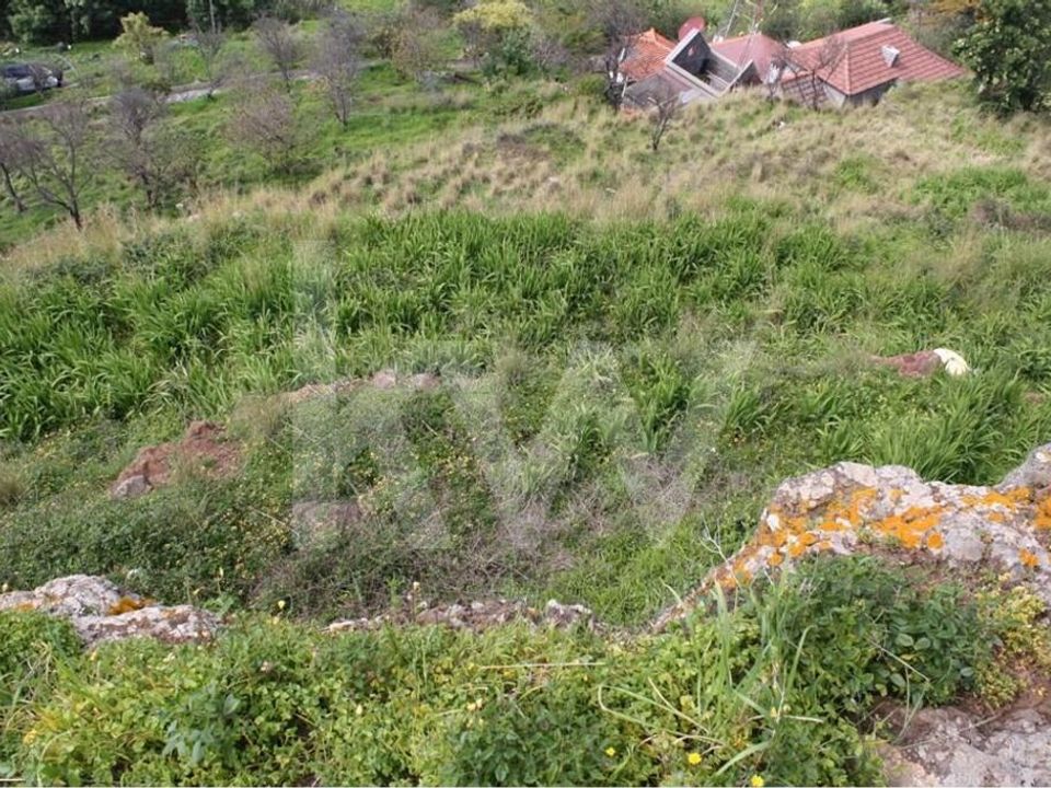 Helårsgrund i Santa Cruz, Madeira - foto 4