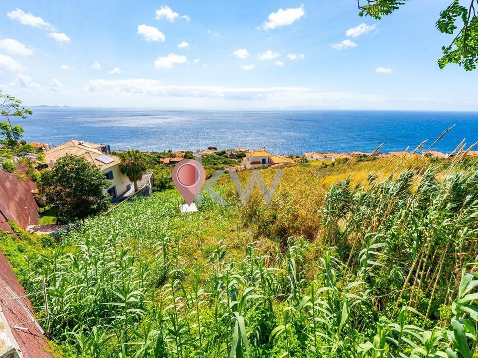 Helårsgrund i Santa Cruz, Madeira - foto 3