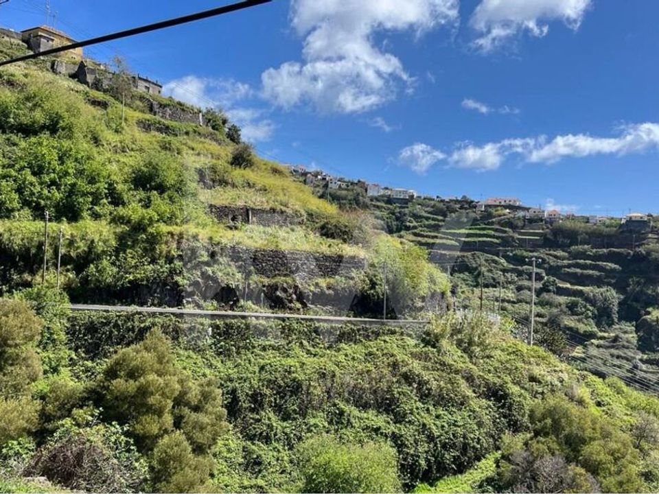 Helårsgrund i Calheta, Madeira - foto 3