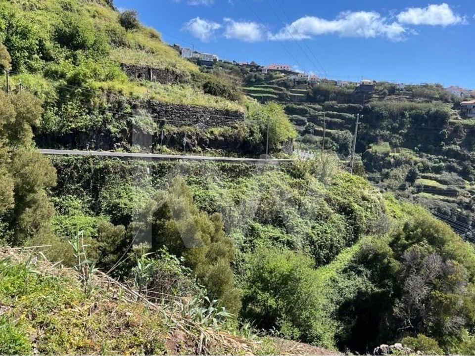 Helårsgrund i Calheta, Madeira - foto 4