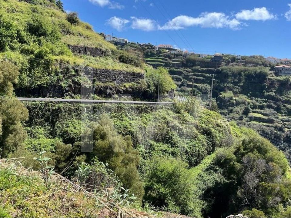 Helårsgrund i Calheta, Madeira - foto 5