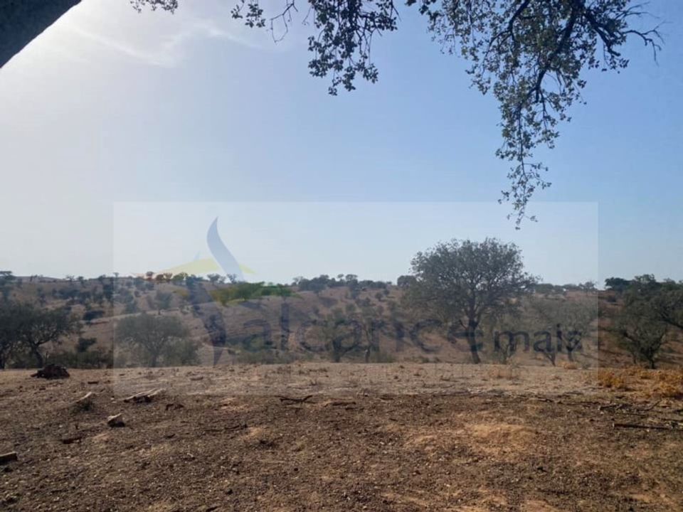 Country house in Serpa, Beja - photo 5
