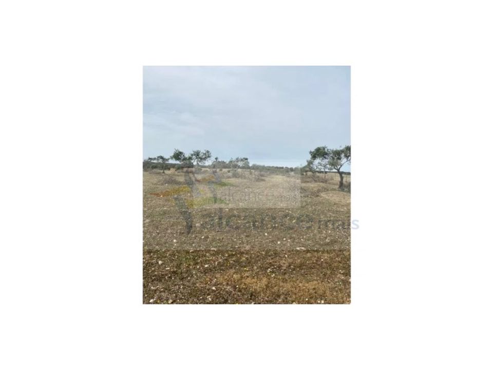 Land in Serpa, Beja - photo 1
