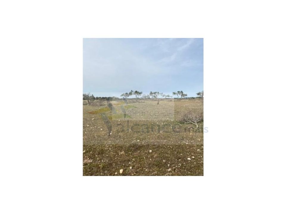 Land in Serpa, Beja - photo 3