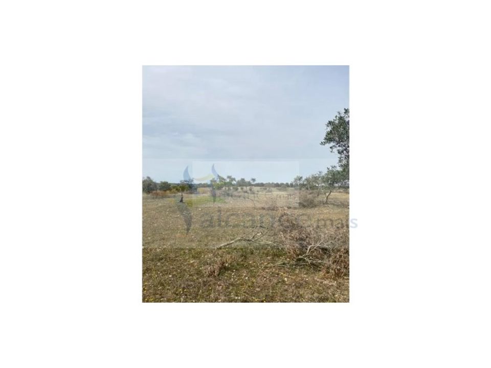 Land in Serpa, Beja - photo 4