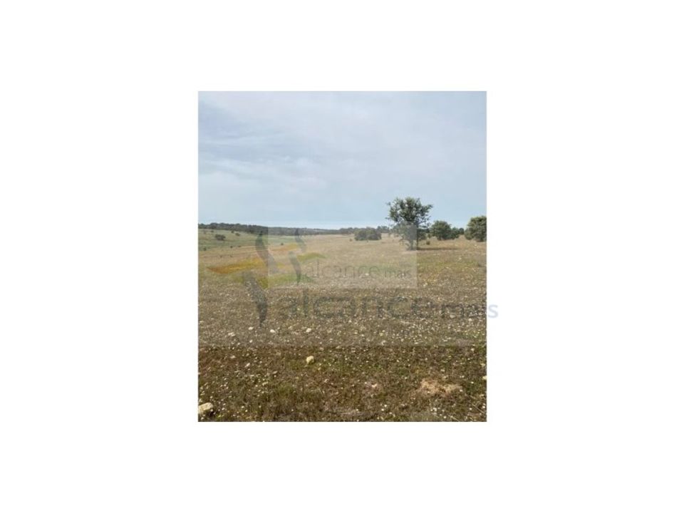 Land in Serpa, Beja - photo 5