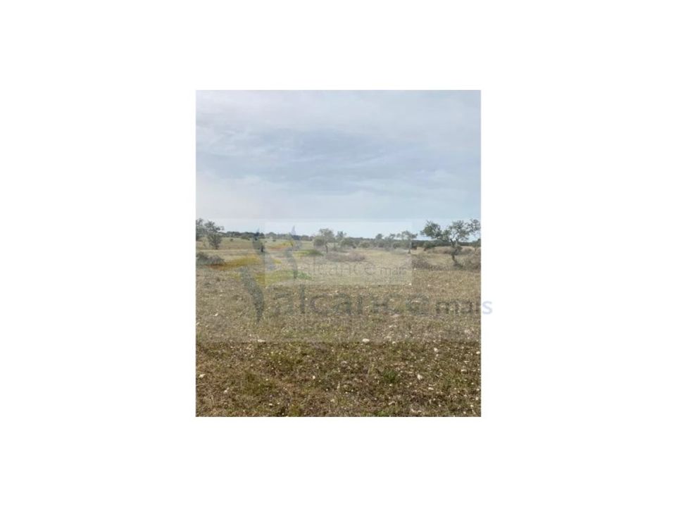 Land in Serpa, Beja - photo 2