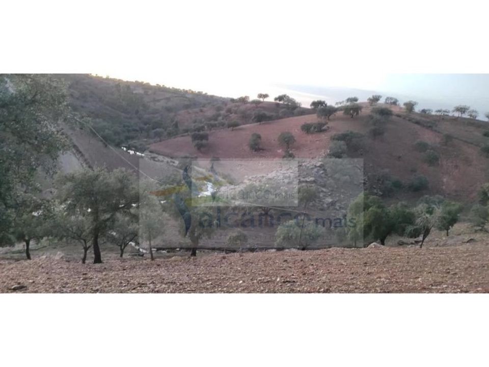 Land in Serpa, Beja - photo 1