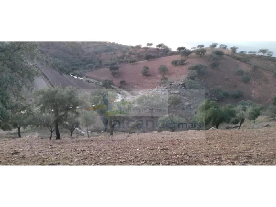 Land in Serpa, Beja - photo 3
