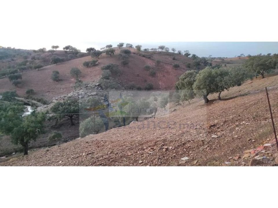 Land in Serpa, Beja - photo 2