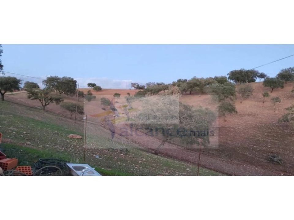 Land in Serpa, Beja - photo 5