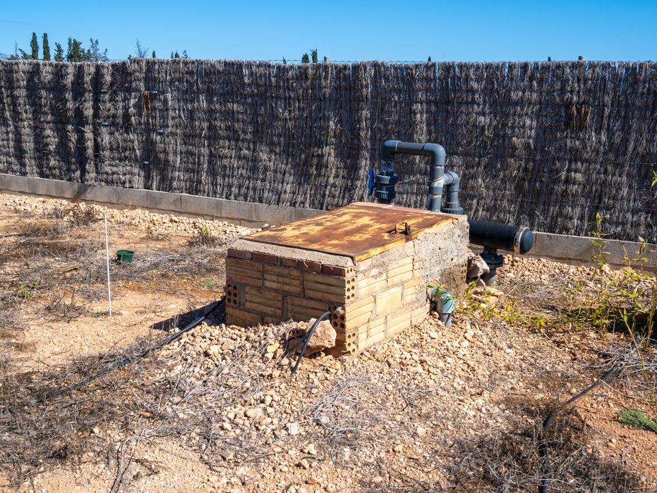 Finca i Santa Barbara, Tarragona - foto 3