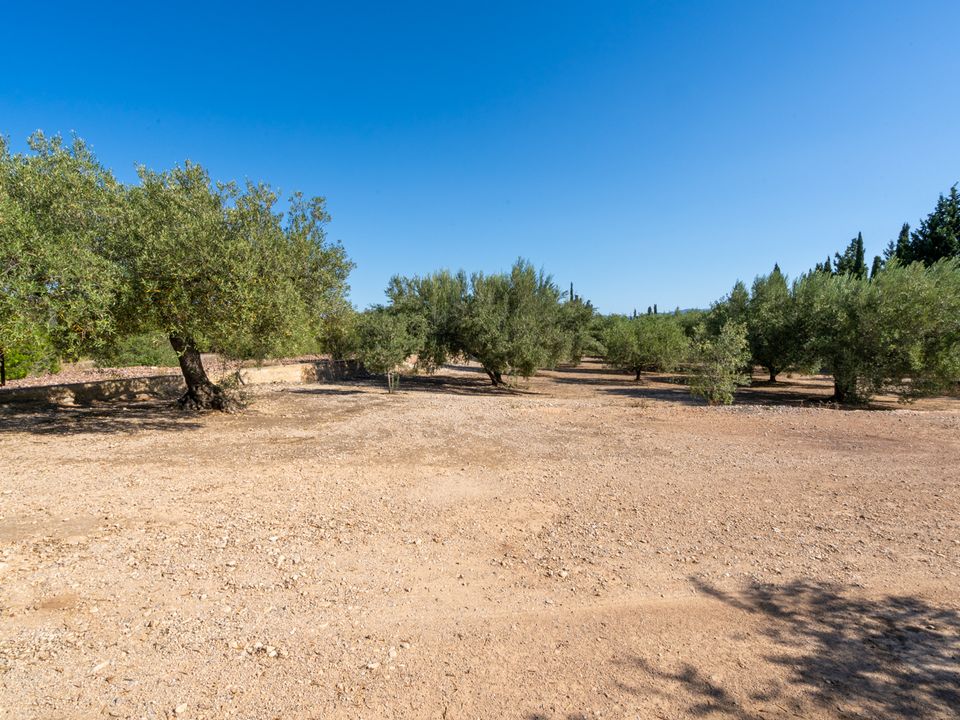 Finca i Santa Barbara, Tarragona - foto 2