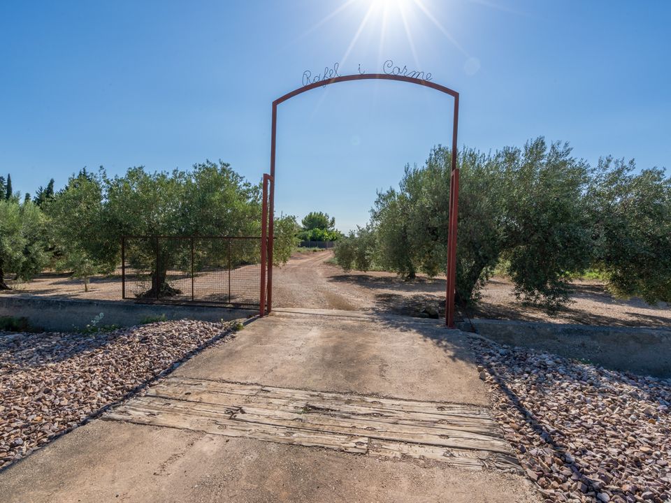 Finca i Santa Barbara, Tarragona - foto 4