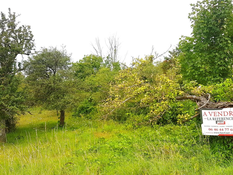 Helårsgrund i Saint-Martin-la-Garenne, Yvelines - foto 1