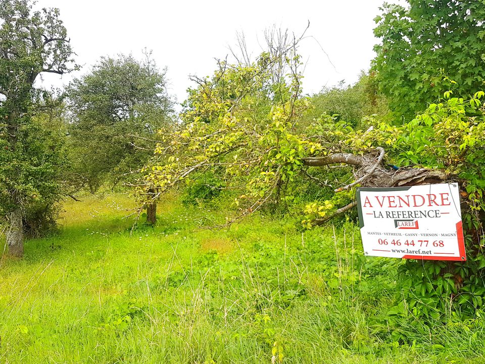 Helårsgrund i Saint-Martin-la-Garenne, Yvelines - foto 3