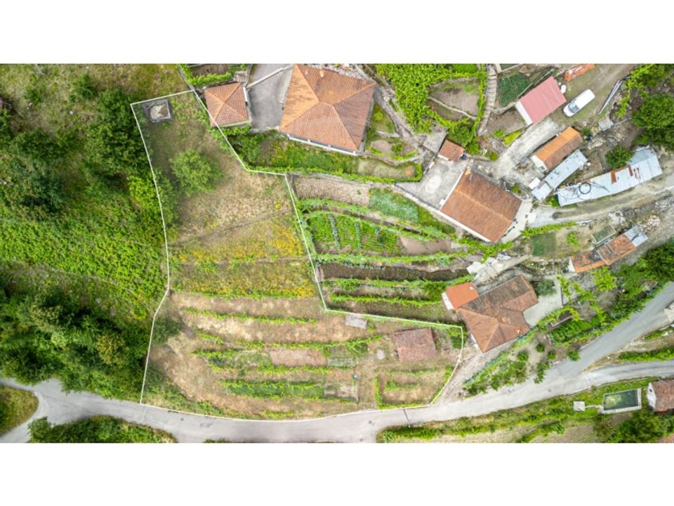 Tomt i Ribeira de Pena, Vila Real - bilde 1