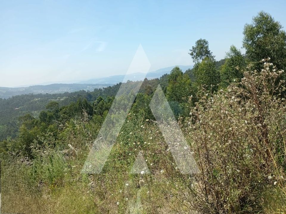 Helårsgrund i Penafiel, Porto - foto 4
