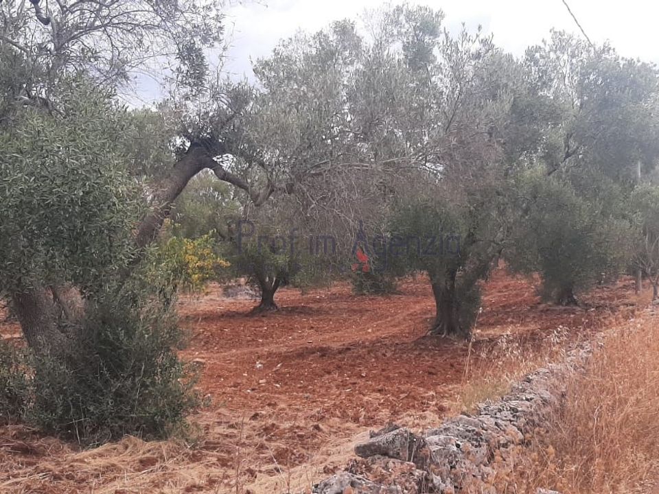 Tomt i San Vito dei Normanni, Brindisi - bilde 5