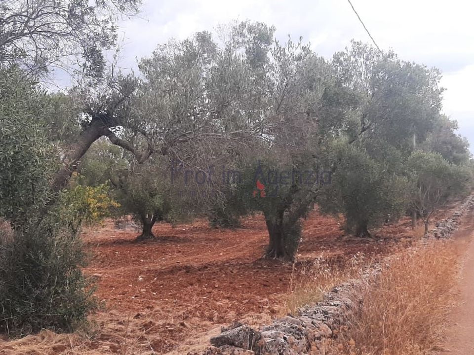 Tomt i San Vito dei Normanni, Brindisi - bilde 2