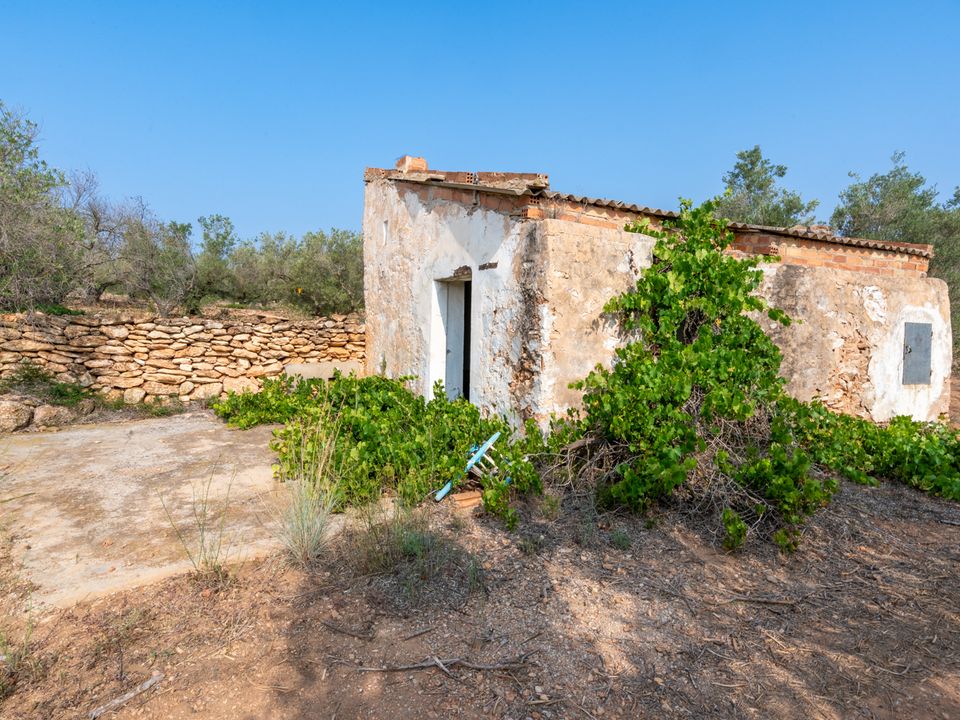 Finca i Camarles, Tarragona - foto 1