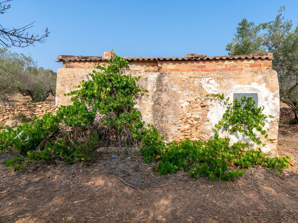 Finca i Camarles, Tarragona - foto 3