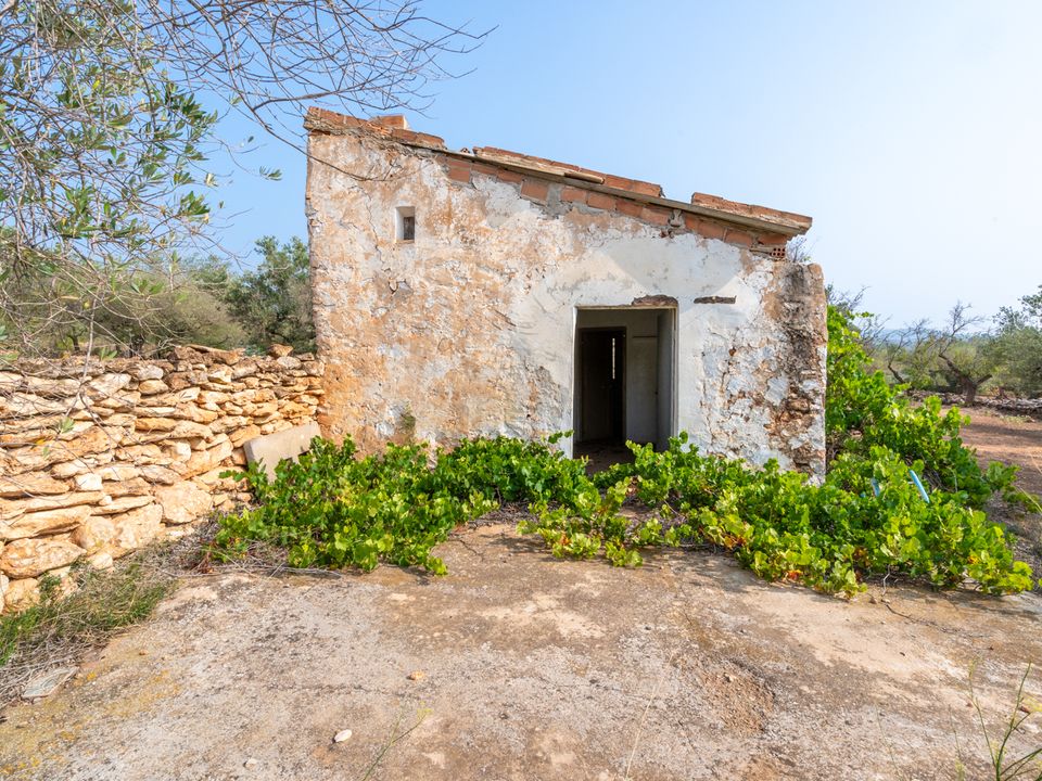 Finca i Camarles, Tarragona - foto 2