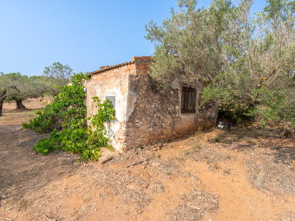 Finca i Camarles, Tarragona - foto 4