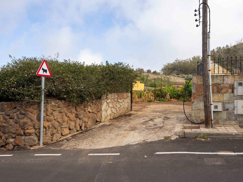 Tomt i Tacoronte, Tenerife - bilde 3