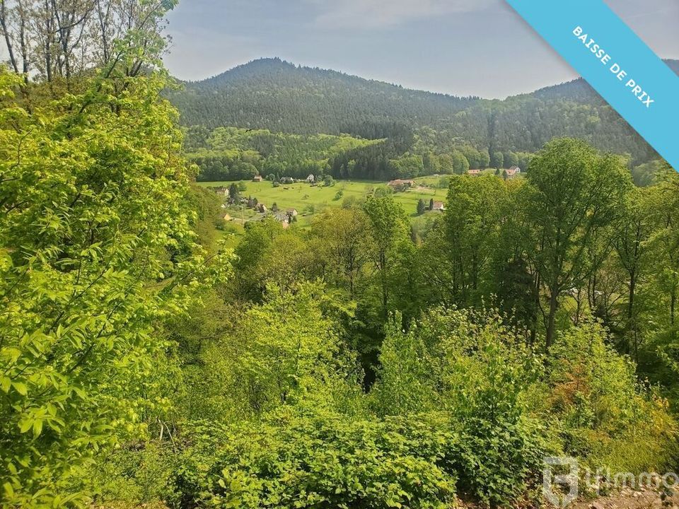 Tomt i Windstein, Bas-Rhin - bilde 3