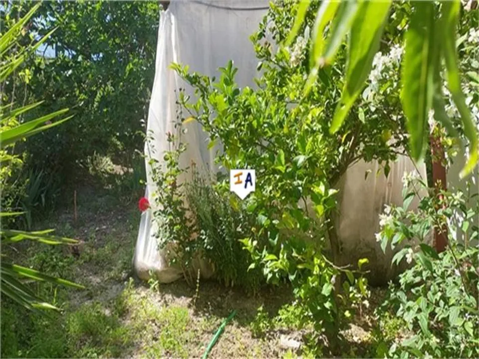 Cortijo in Priego De Cordoba, Cordoba - foto 4