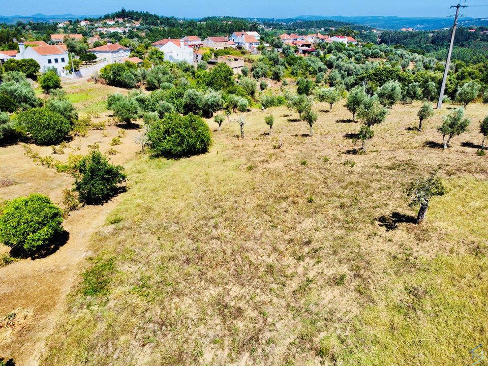 Helårsgrund i Tomar, Santarem - foto 3