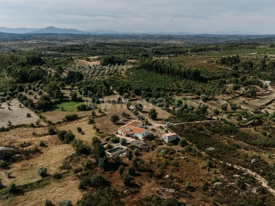 Farm i Oliveira do Hospital, Coimbra - foto 3