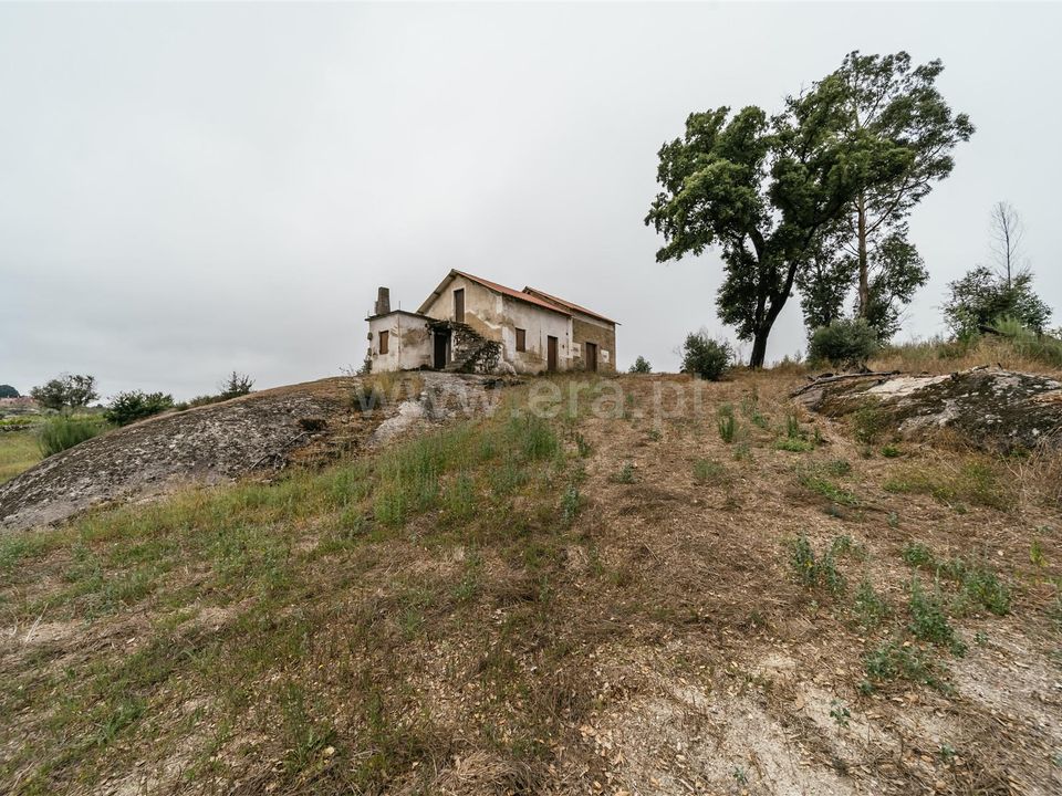 Erhvervsejendom i Seia, Guarda - foto 1