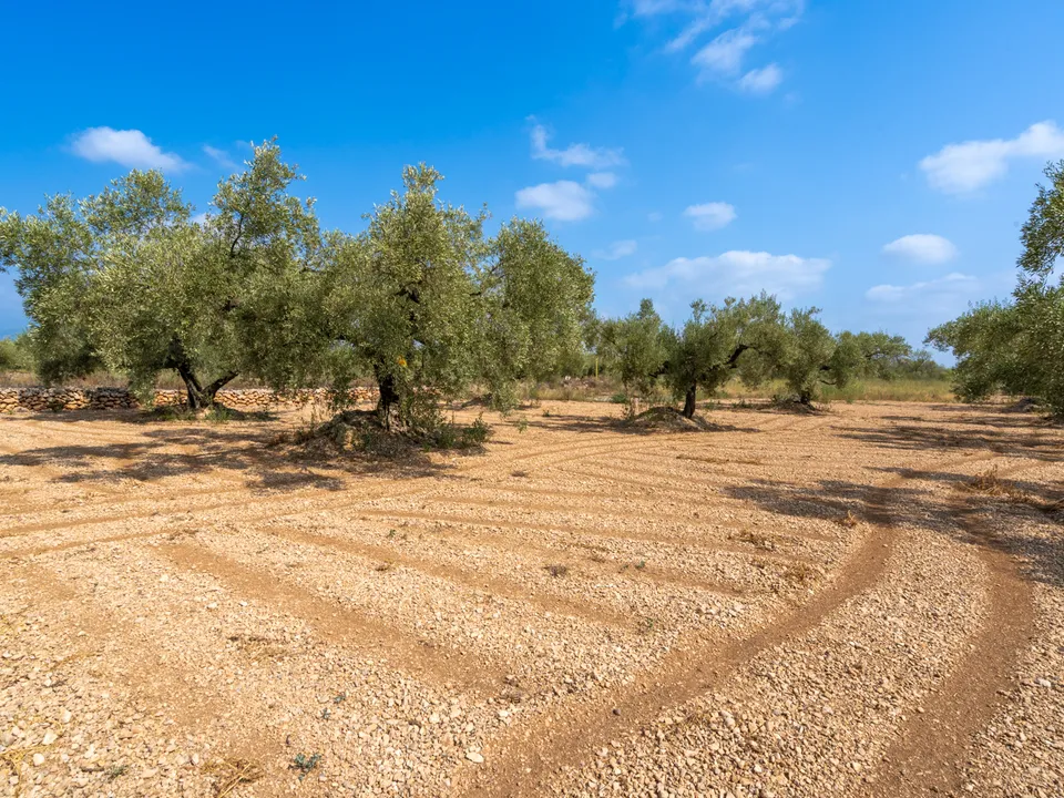 Finca i Ulldecona, Tarragona - foto 3