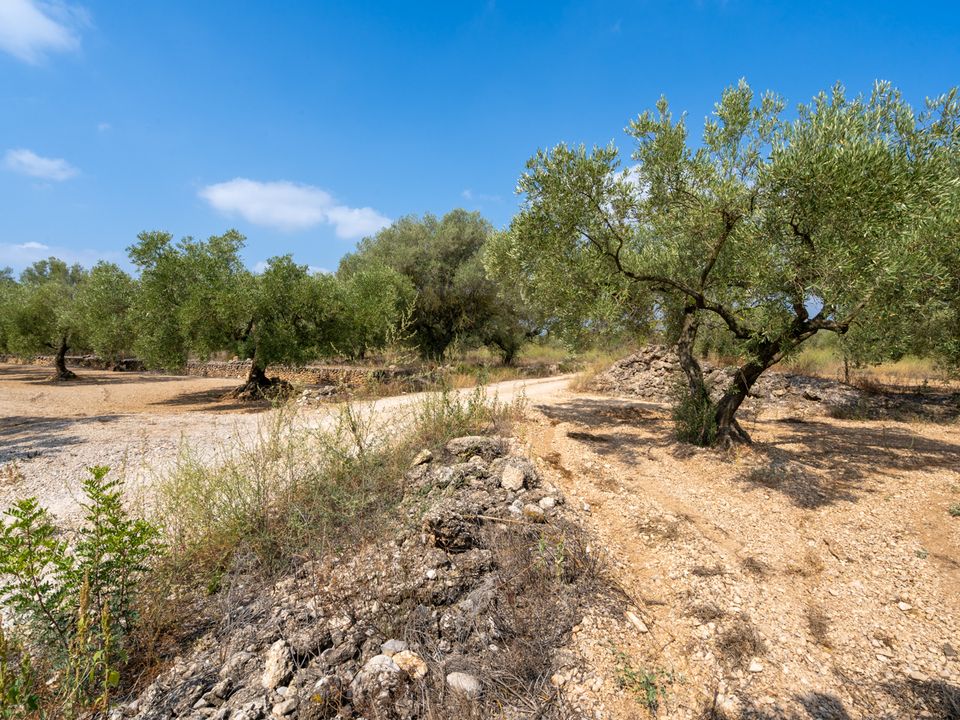 Finca i Ulldecona, Tarragona - foto 5