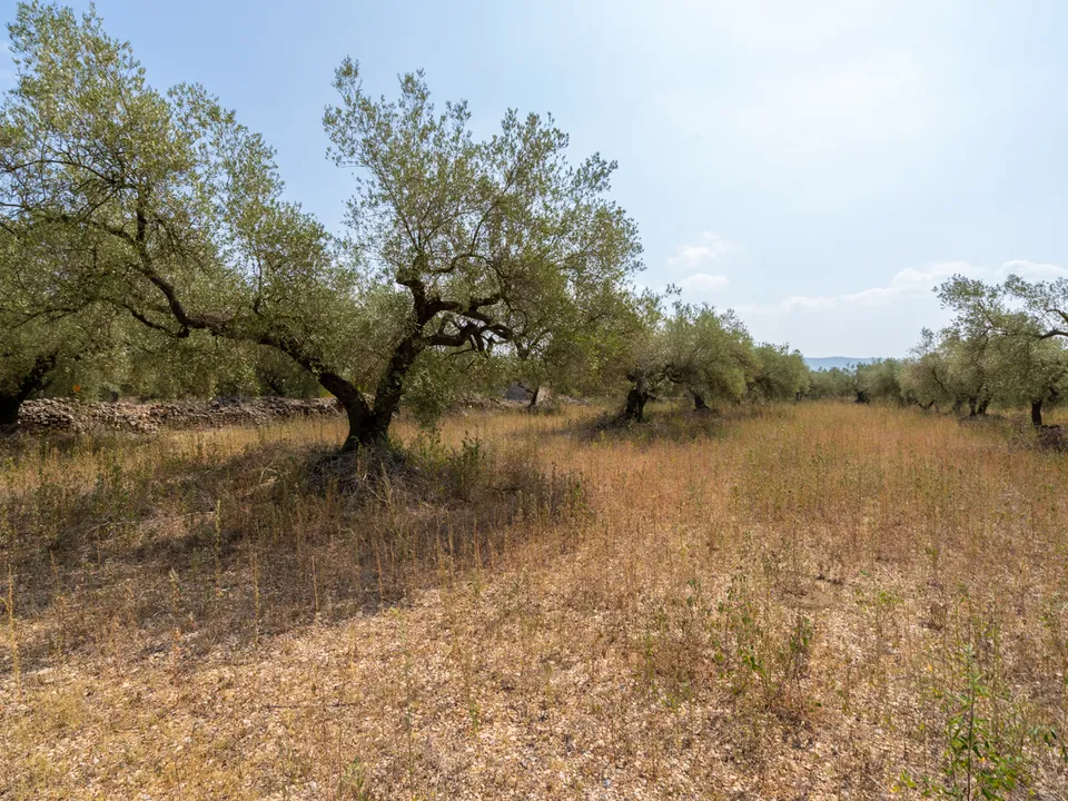Finca i Ulldecona, Tarragona - bilde 1