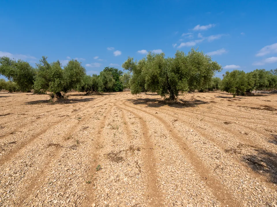 Finca i Ulldecona, Tarragona - foto 5