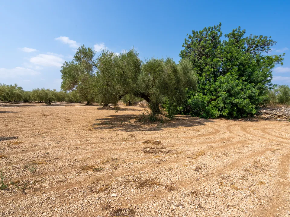 Finca i Ulldecona, Tarragona - foto 2