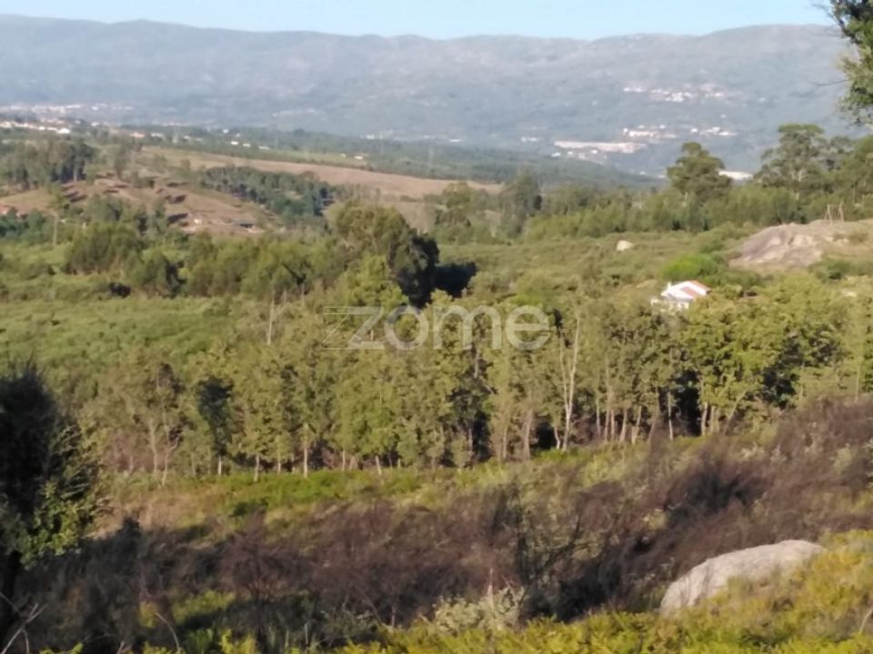 Helårsgrund i Sameice e Santa Eulalia, Guarda - foto 1